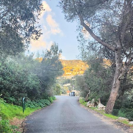 Le Mas D'Angeline, Vue Mer, Jardin Commun, Parking, Voiture Requise, 10 Min En Voiture De Monaco, Route Etroite, Pente Raide, Croisement Limite, Sea View, Shared Garden, Parking, Car Required, 10 Min Drive From Monaco, Narrow Steep Road, Limited Pass Бюсолей Екстериор снимка