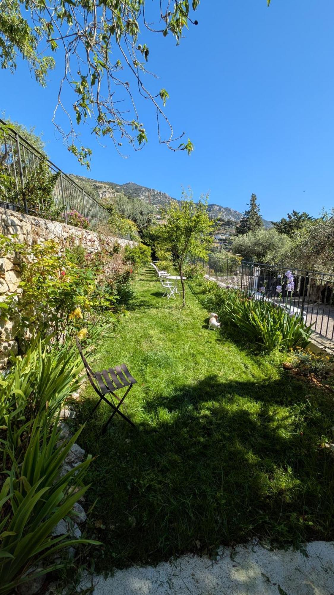 Le Mas D'Angeline, Vue Mer, Jardin Commun, Parking, Voiture Requise, 10 Min En Voiture De Monaco, Route Etroite, Pente Raide, Croisement Limite, Sea View, Shared Garden, Parking, Car Required, 10 Min Drive From Monaco, Narrow Steep Road, Limited Pass Бюсолей Екстериор снимка