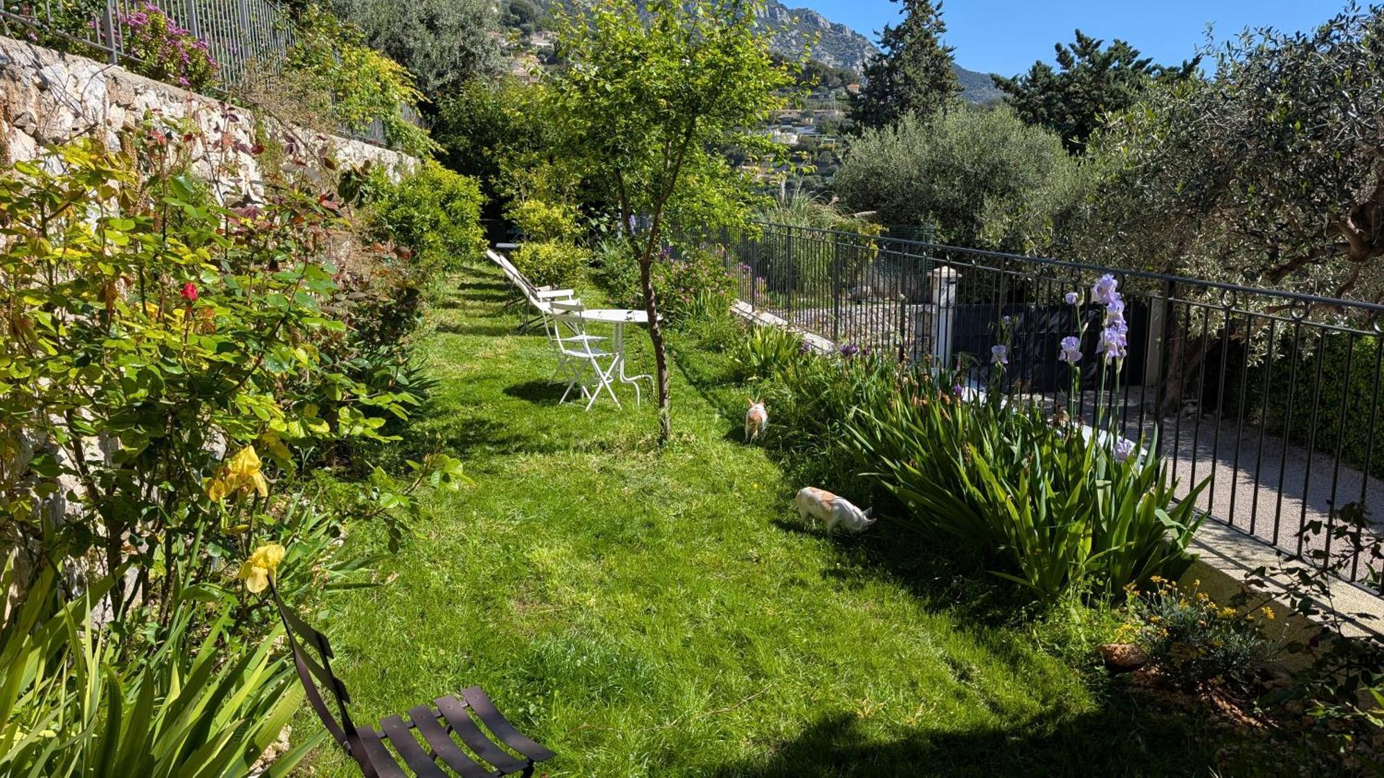 Le Mas D'Angeline, Vue Mer, Jardin Commun, Parking, Voiture Requise, 10 Min En Voiture De Monaco, Route Etroite, Pente Raide, Croisement Limite, Sea View, Shared Garden, Parking, Car Required, 10 Min Drive From Monaco, Narrow Steep Road, Limited Pass Бюсолей Екстериор снимка